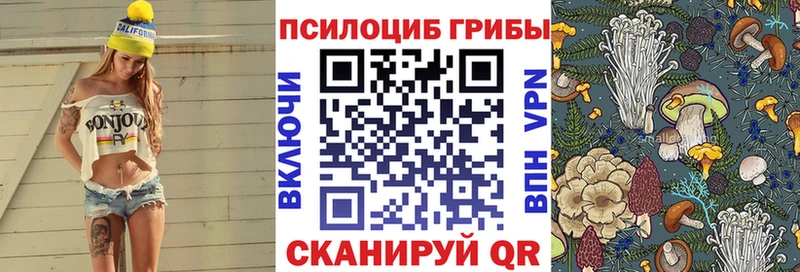Купить закладки  Ахтырский  Псилоцибиновые грибы мицелий 